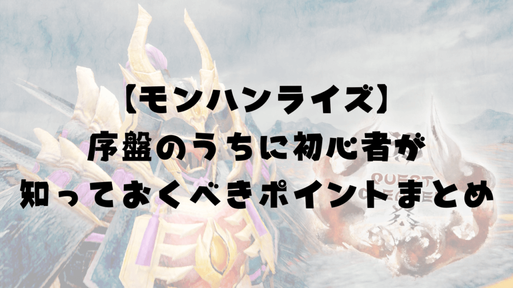 モンハンライズ 序盤のうちに初心者が知っておくべきポイントまとめ 攻略 ひまくろのゲームブログ