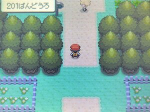 ポケモンダイパ 御三家ポケモン ポケモン図鑑をゲット 通信 交換が出来るタイミングまで進めよう 攻略チャート1 ひまくろのゲームブログ