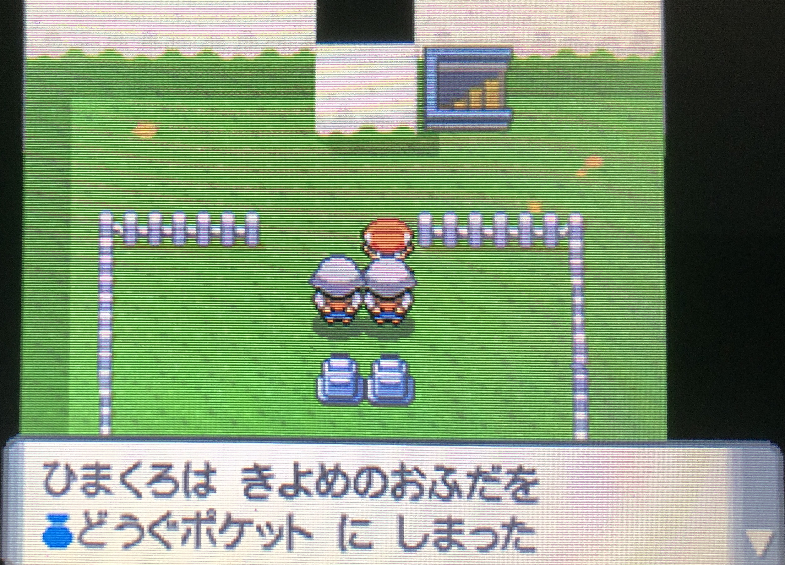 ポケモンダイパ かいりきを入手して育て屋さんがあるズイタウン到着までを解説 攻略チャート10 ひまくろのゲームブログ