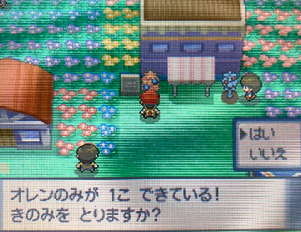 ポケモンダイパ コダックのじょうろを入手してきのみを集めよう 5番道路までを攻略 攻略チャート5 ひまくろのゲームブログ