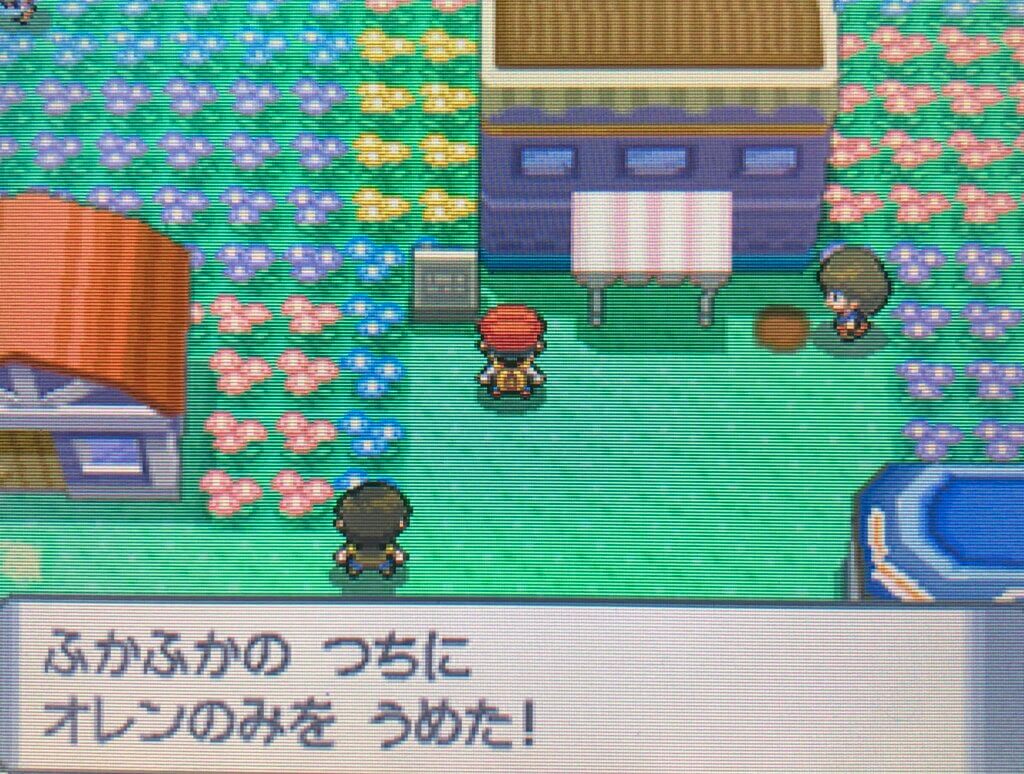 ポケモンダイパ コダックのじょうろを入手してきのみを集めよう 5番道路までを攻略 攻略チャート5 ひまくろのゲームブログ