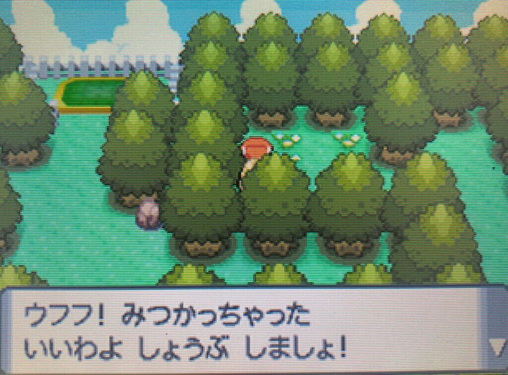 ポケモンダイパ ハクタイジム ナタネの手持ちポケモンと攻略方法を解説 攻略チャート6 ひまくろのゲームブログ