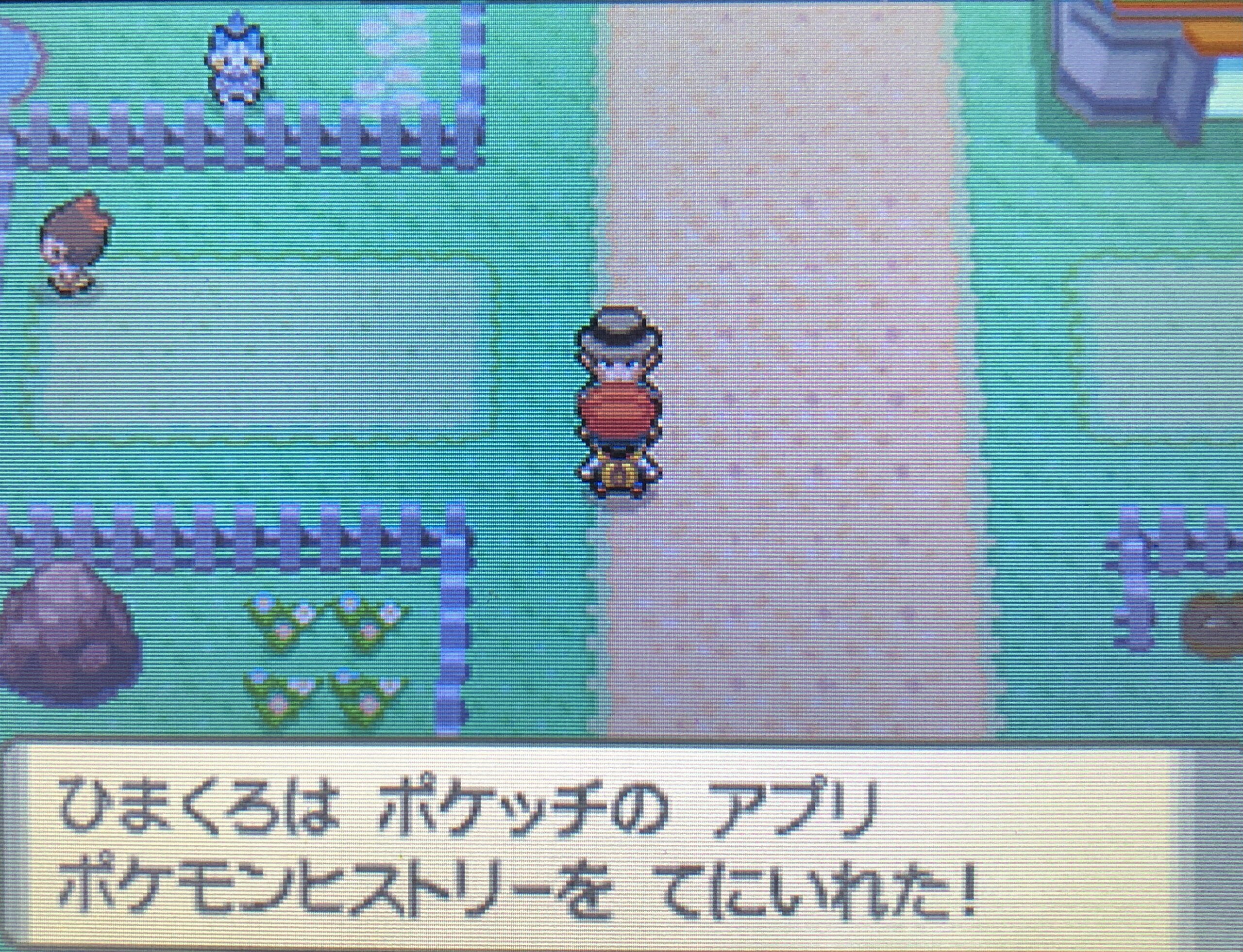 ポケモンダイパ かいりきを入手して育て屋さんがあるズイタウン到着までを解説 攻略チャート10 ひまくろのゲームブログ