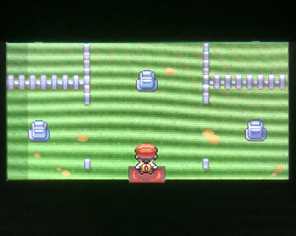 ポケモンダイパ かいりきを入手して育て屋さんがあるズイタウン到着までを解説 攻略チャート10 ひまくろのゲームブログ ポケモンダイパ かいりきを入手して育て屋さんがあるズイタウン到着までを解説 攻略チャート10 ひまくろのゲームブログ