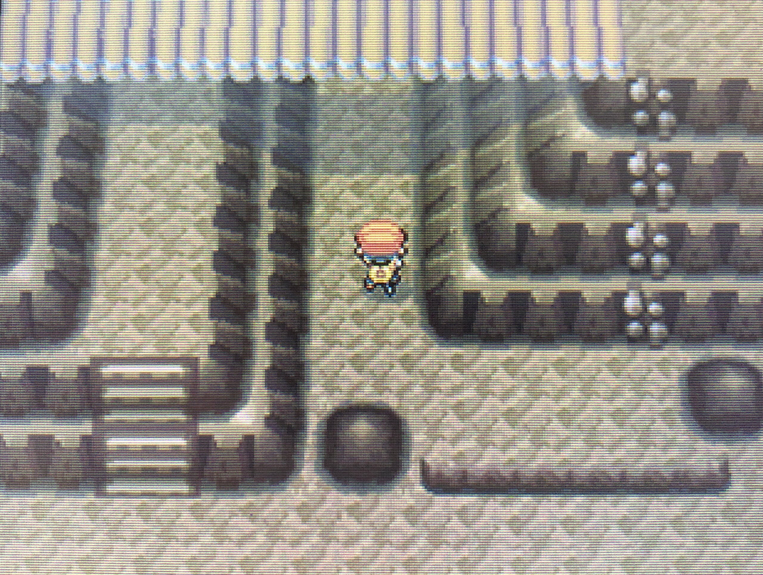 ポケモンダイパ チャンピオンロードのルートを画像付きでポケモンリーグ到着までを解説 攻略チャート24 ひまくろのゲームブログ