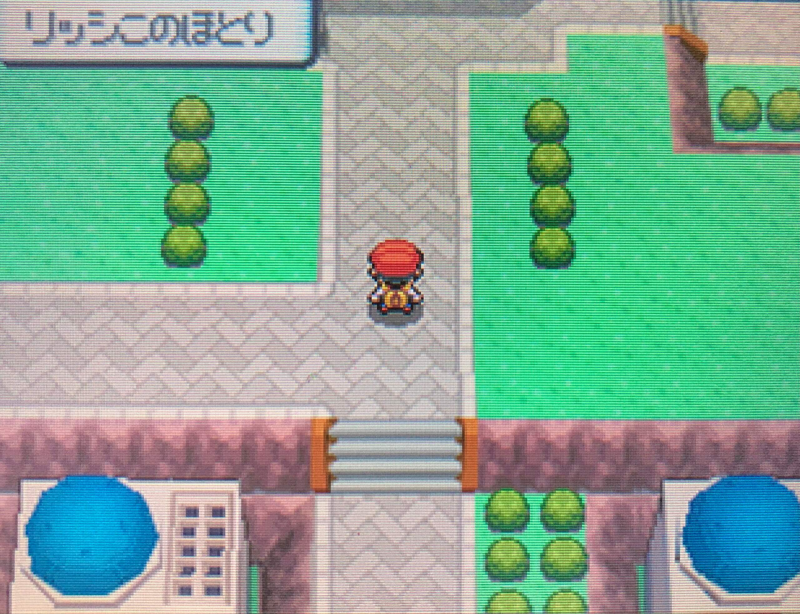 ポケモンダイパ コダックの群れを突破 ひでんマシン05のきりばらい使いカンナギタウンを目指そう 攻略チャート15 ひまくろのゲームブログ