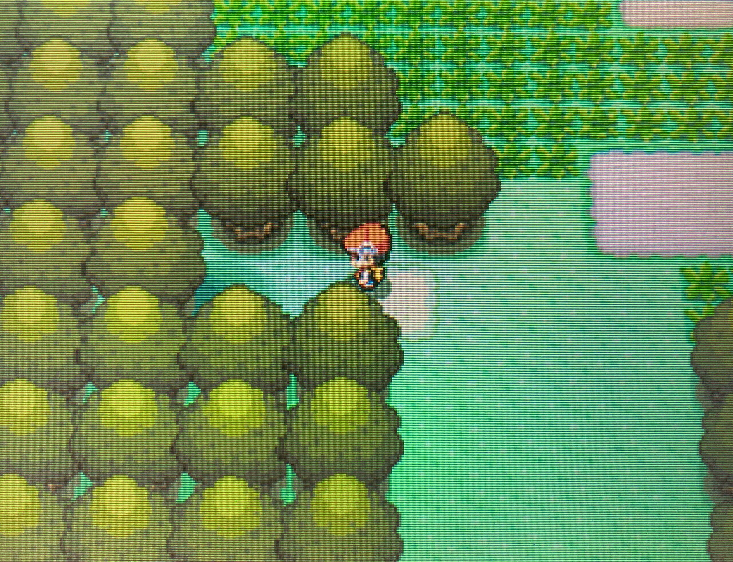 ポケモンダイパ リッシこのほとりからテンガンざんまでを攻略 攻略チャート18 ひまくろのゲームブログ