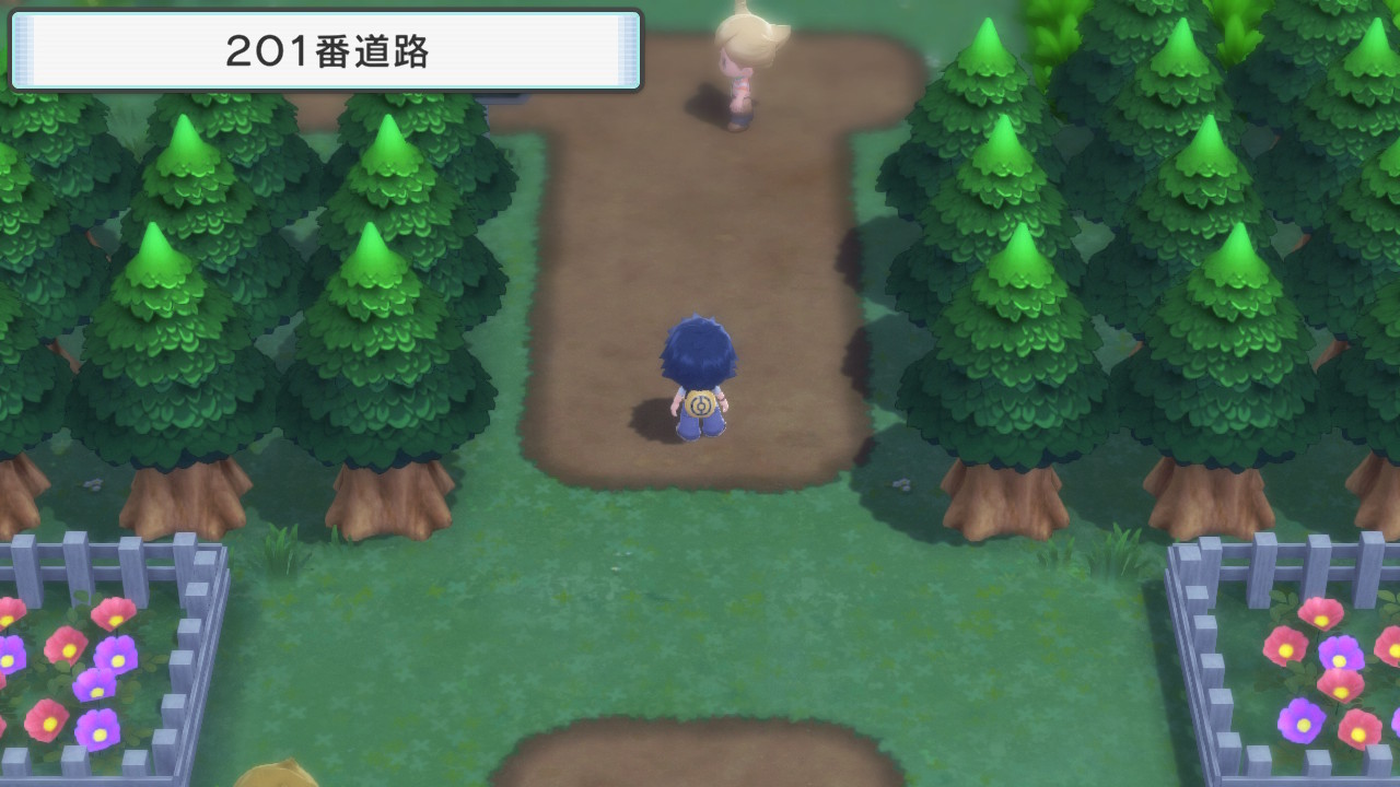 ダイパリメイク 御三家ポケモンを選ぶ前におまかせレポートはオフに 通信 交換が出来るタイミングまでを解説 攻略チャート1 ひまくろのゲームブログ