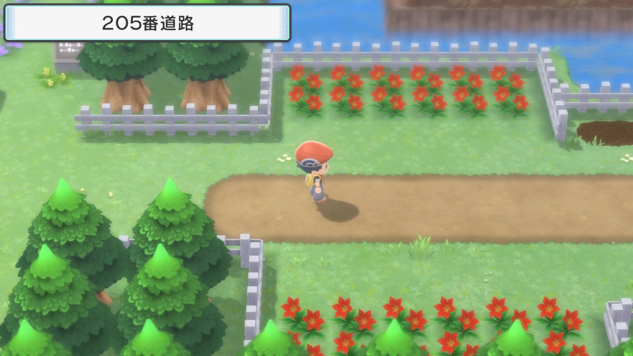 ダイパリメイク コダックじょうろで効率よくきのみ収集 ハクタイの森到着までを解説 攻略チャート6 ひまくろのゲームブログ