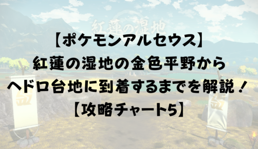 ポケモンアルセウス ガチグマで宝堀をしよう ヘドロ台地から舞台の戦場までを攻略 攻略チャート6 ひまくろのゲームブログ