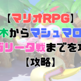 【マリオRPG】豆の木からマシュマロ城のマルガリータ戦までを攻略！【攻略】